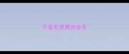不是毛很黄的金毛