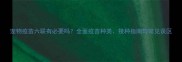 宠物疫苗六联有必要吗全面疫苗种类接种指南与常见误区