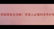 哈士奇肠胃差全攻略养宠人必看科学养护指南