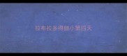 拉布拉多得细小第四天
