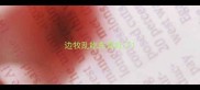 边牧乱吃东西吐了