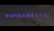 泰迪的疯长期是几个月