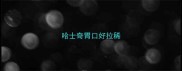 哈士奇胃口好拉稀