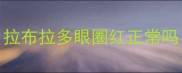 拉布拉多眼圈红正常吗