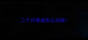 二个月泰迪怎么训练