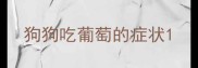 狗狗吃葡萄的症状