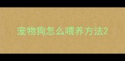 宠物狗怎么喂养方法