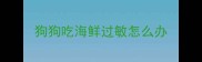 狗狗吃海鲜过敏怎么办