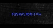 狗狗能吃葡萄干吗