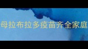 北京低价转让健康成年母拉布拉多疫苗齐全家庭饲养犬只免费上门看狗