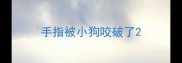 手指被小狗咬破了