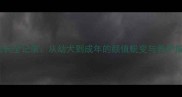 黑色边境牧羊犬成长全记录从幼犬到成年的颜值蜕变与养护指南附对比图