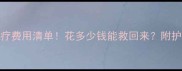 细小犬治疗费用清单花多少钱能救回来附护理全攻略