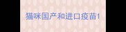 猫咪国产和进口疫苗