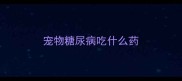 宠物糖尿病吃什么药