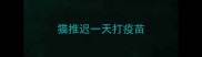 猫推迟一天打疫苗