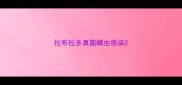拉布拉多真菌螨虫感染