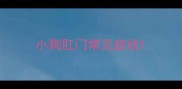 小狗肛门常见症状