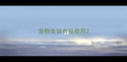 宠物美容有没有用