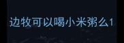 边牧可以喝小米粥么