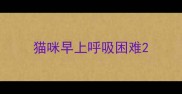 猫咪早上呼吸困难