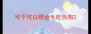 可不可以喂金毛吃热狗