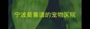 宁波最靠谱的宠物医院
