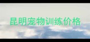 昆明宠物训练价格