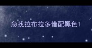 急找拉布拉多借配黑色