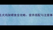 金毛犬鸡架喂食全攻略营养搭配与注意事项