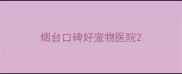 烟台口碑好宠物医院