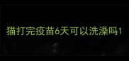 猫打完疫苗6天可以洗澡吗