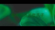 猫咪挠沙发磨爪子