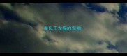 类似于龙猫的宠物