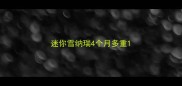 迷你雪纳瑞4个月多重