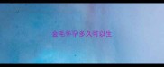 金毛怀孕多久可以生