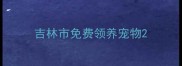 吉林市免费领养宠物