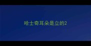 哈士奇耳朵是立的