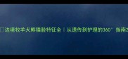 边境牧羊犬熊猫脸特征全从遗传到护理的360指南