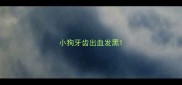 小狗牙齿出血发黑