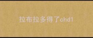 拉布拉多得了chd