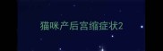 猫咪产后宫缩症状