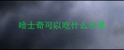 哈士奇可以吃什么水果
