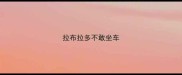 拉布拉多不敢坐车
