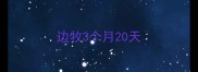 边牧3个月20天