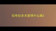拉布拉多犬爱得什么病
