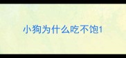小狗为什么吃不饱