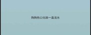狗狗伤口化脓一直流水