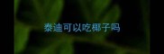 泰迪可以吃椰子吗