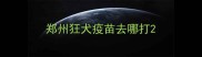 郑州狂犬疫苗去哪打